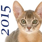 2015 chats adoptés alsace