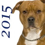 2015 chiens adoptés alsace