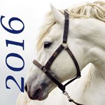 2016 sauvés chevaux