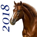 2018 chevaux sauves