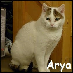 Arya