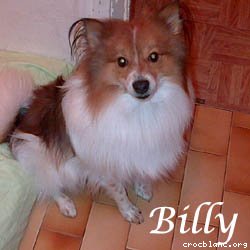 billy