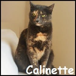 Calinette