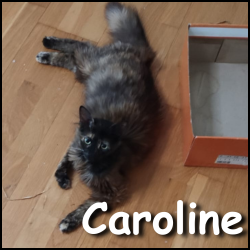 Caroline