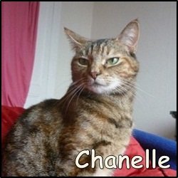 Chanelle