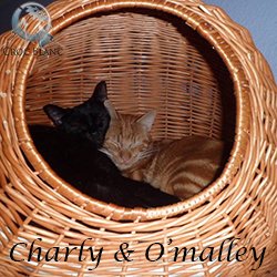 Charly & O'Malley1