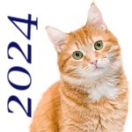 Chats sauvés 2024