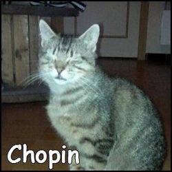 Chopin