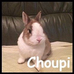 Choupi