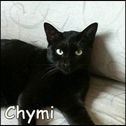 Chymi