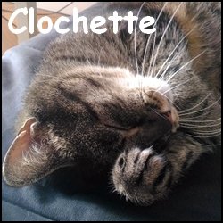 Clochette