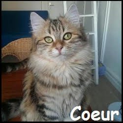 Coeur