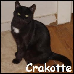 Crakotte