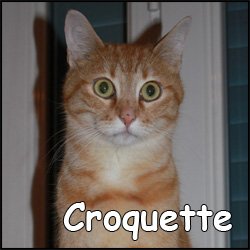 Croquette