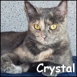 Crystal