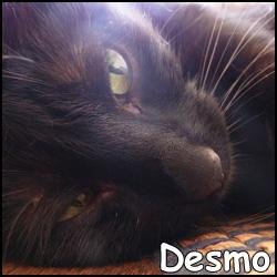 Desmo