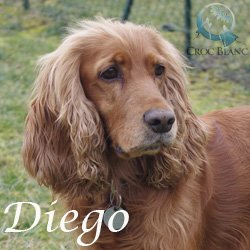 Diego