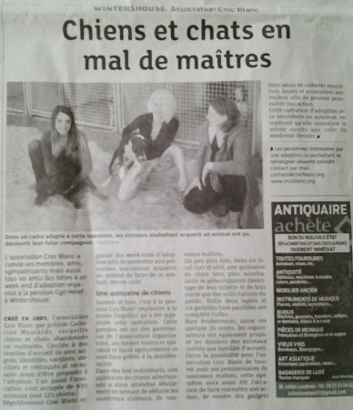 DNA 31mars14