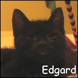 Edgard