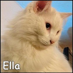 Ella