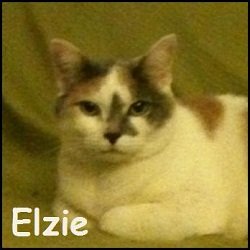 Elzie