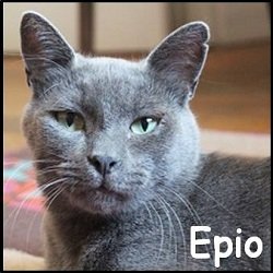 Epio