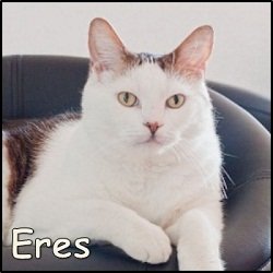 Eres