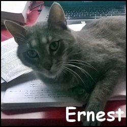 Ernest