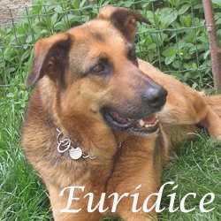 Euridice