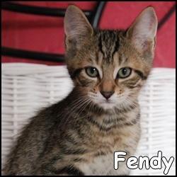 Fendy