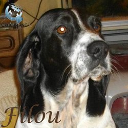 Filou