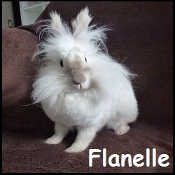 Flanelle