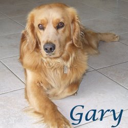 Gary