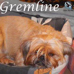 Gremline