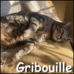 Gribouille2