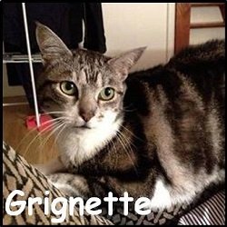 Grignette