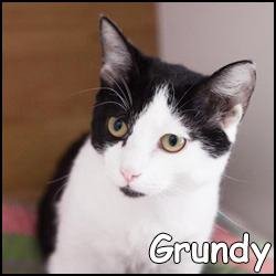 Grundy