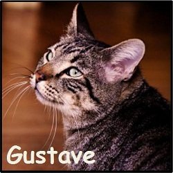 Gustave