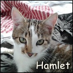 Hamlet