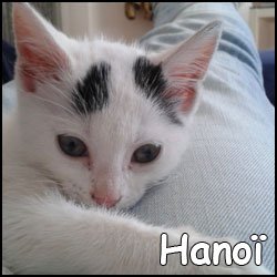 HanoÏ