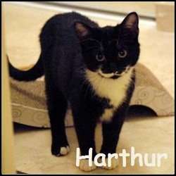 Harthur