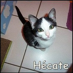 Hécate