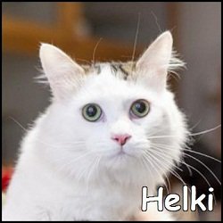 Helki