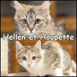 Hellen et Houpette