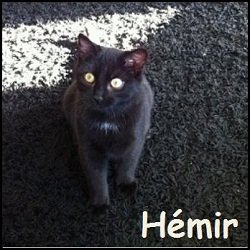 Hémir