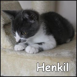 Henkil