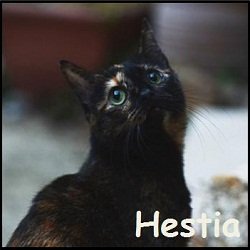 Hestia