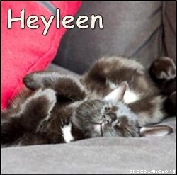 Heyleen