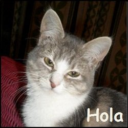 Hola