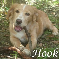 Hook 2